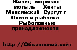 Живец, мормыш, мотыль. - Ханты-Мансийский, Сургут г. Охота и рыбалка » Рыболовные принадлежности   